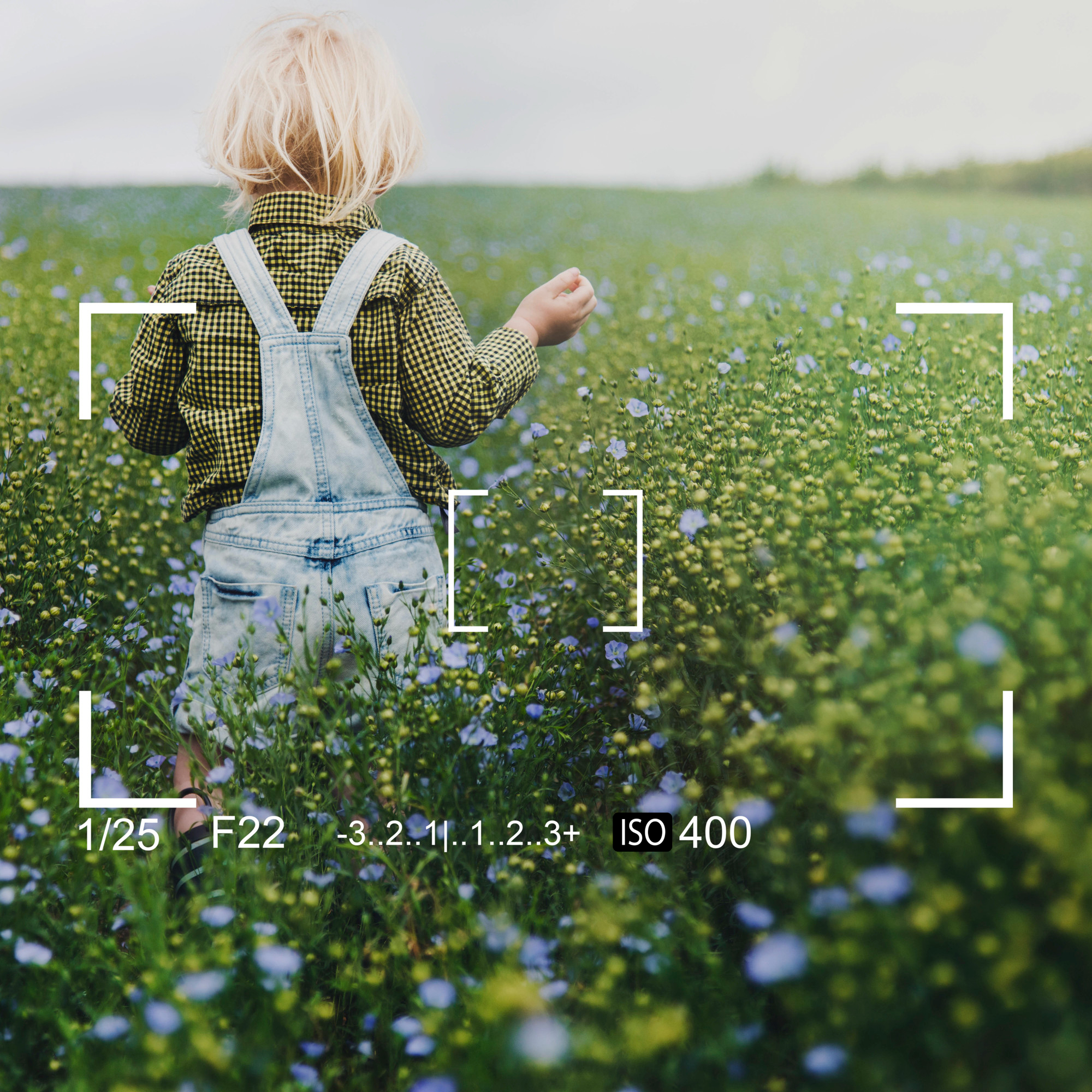 blog img